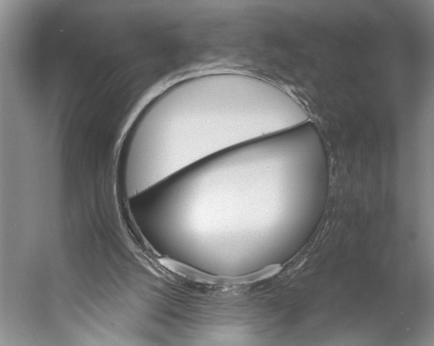 X0000056340056200509161746