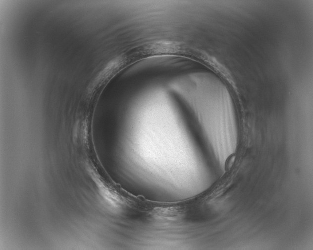 X0000056340057200509161746
