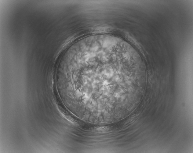 X0000056340059200509161746