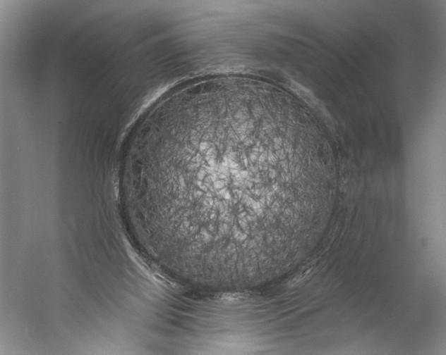 X0000056340060200509161746