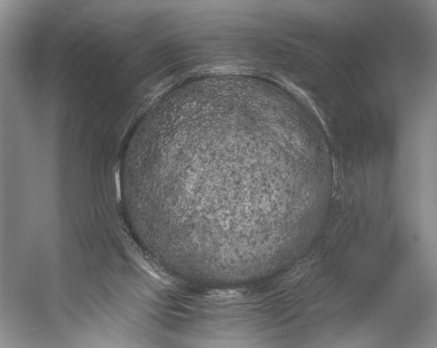 X0000056340061200509161746