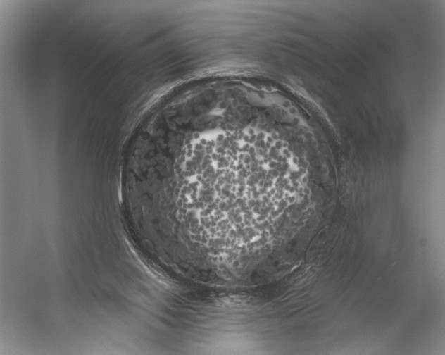 X0000056340062200509161746