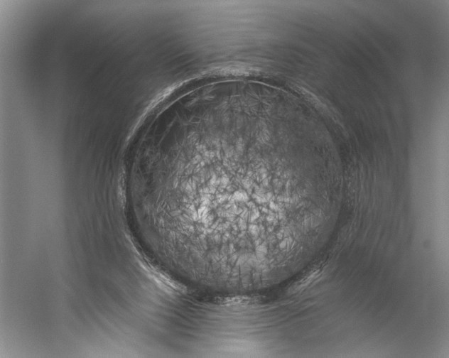X0000056340064200509161746