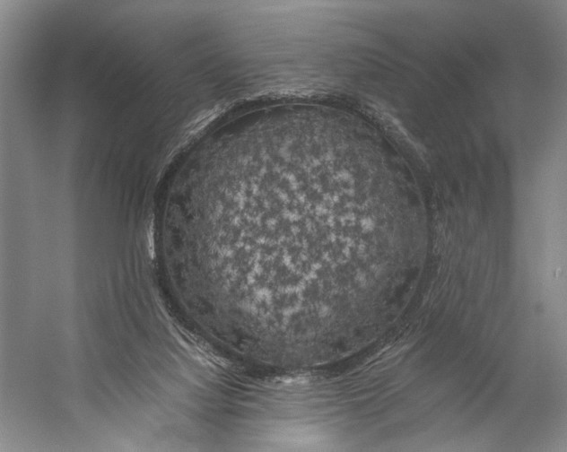 X0000056340068200509161746