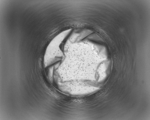 X0000056340071200509161747
