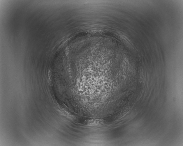 X0000056340077200509161747
