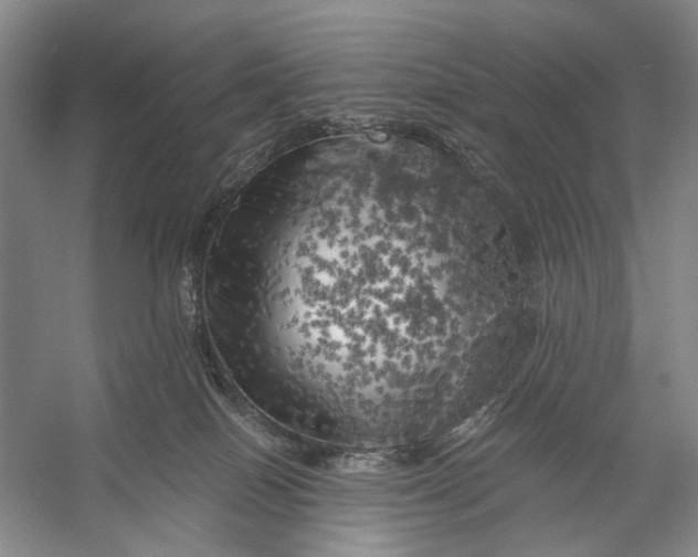 X0000056340086200509161747
