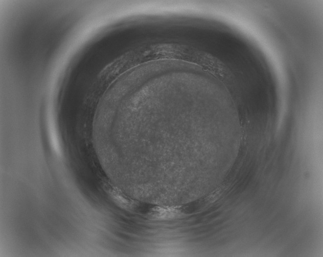 X0000056340093200509161747