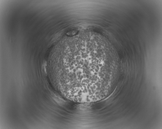 X0000056340094200509161747