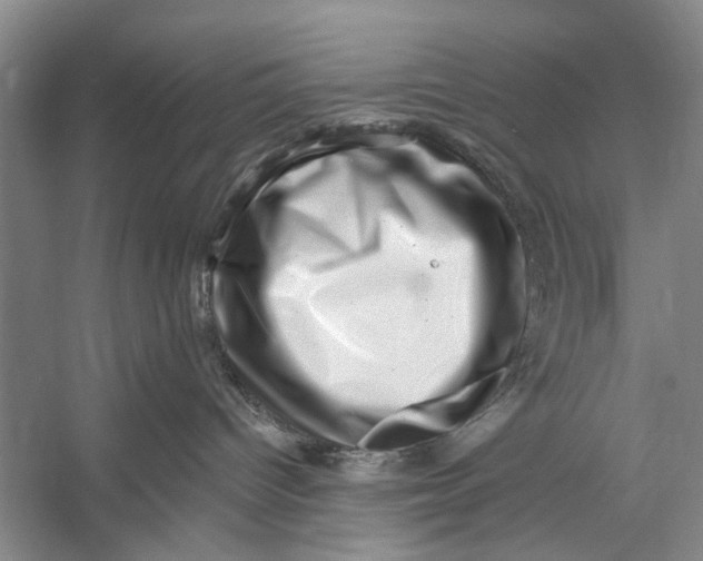 X0000056340096200509161747