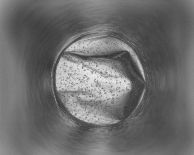 X0000056340100200509161746