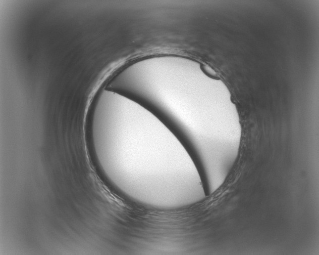 X0000056340104200509161746