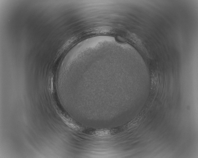X0000056340110200509161746