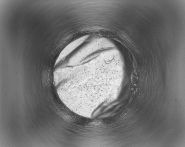 X0000056340119200509161746