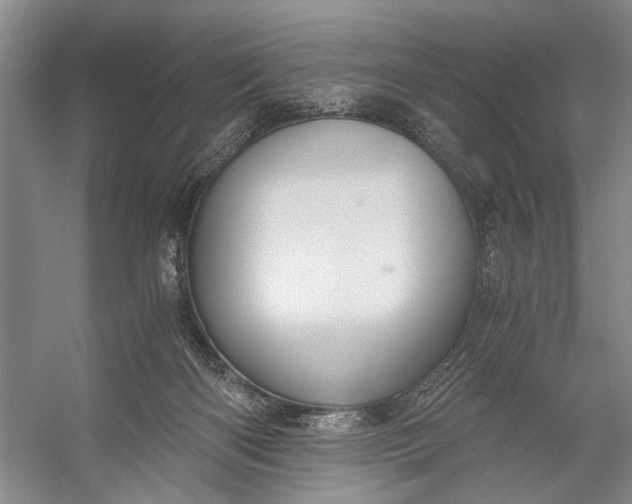X0000056340122200509161746
