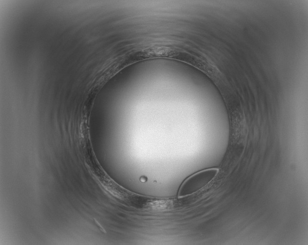 X0000056340126200509161746