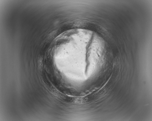 X0000056340127200509161746