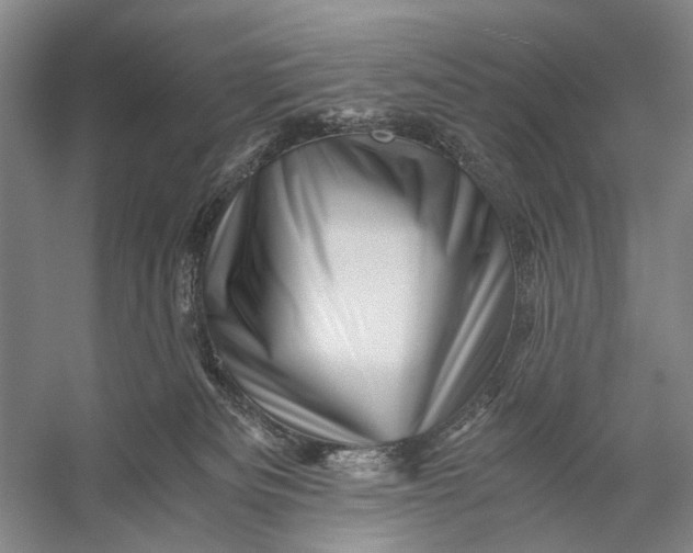 X0000056340133200509161746