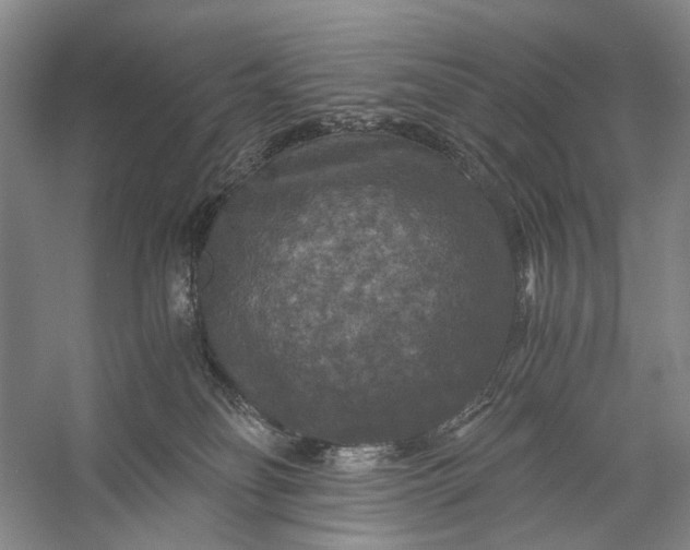 X0000056340134200509161746