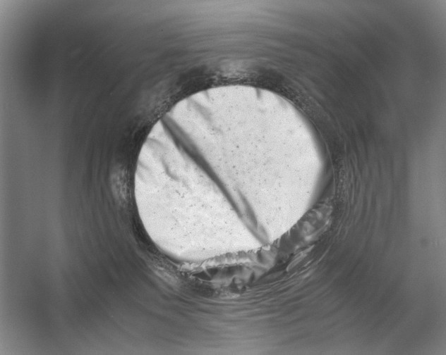X0000056340135200509161745