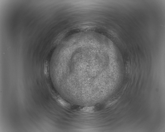 X0000056340138200509161745