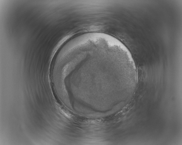 X0000056340147200509161745