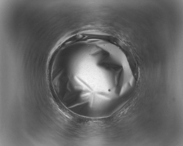 X0000056340150200509161745