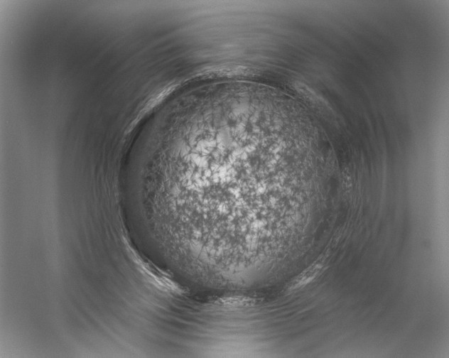 X0000056340158200509161745