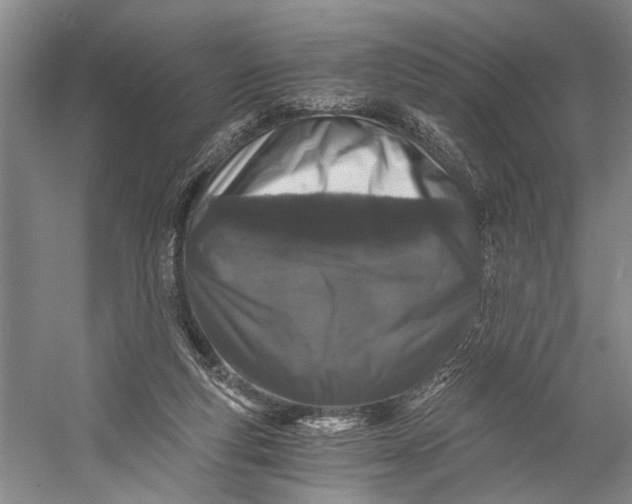 X0000056340163200509161745