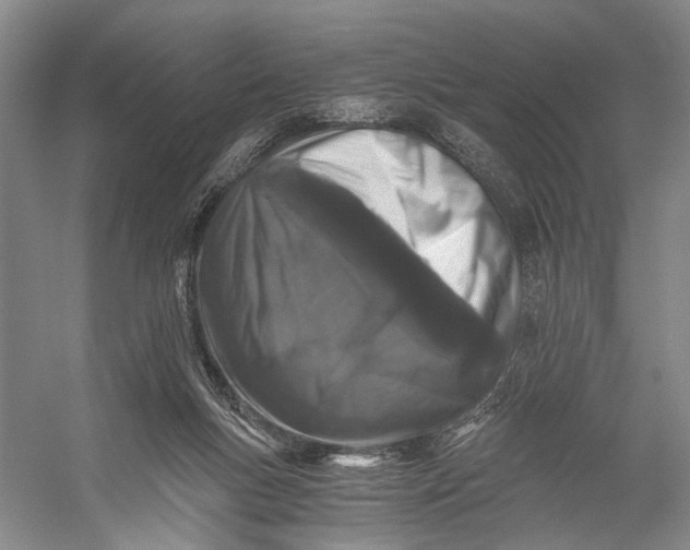 X0000056340167200509161745