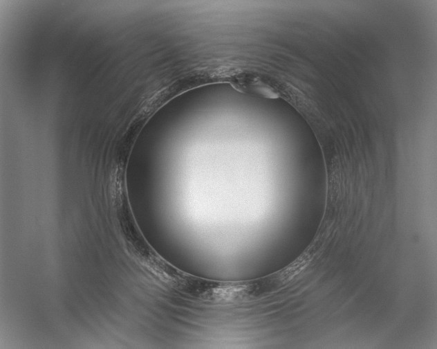 X0000056340172200509161745