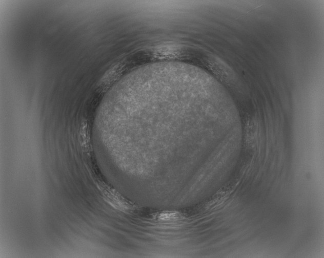X0000056340173200509161745
