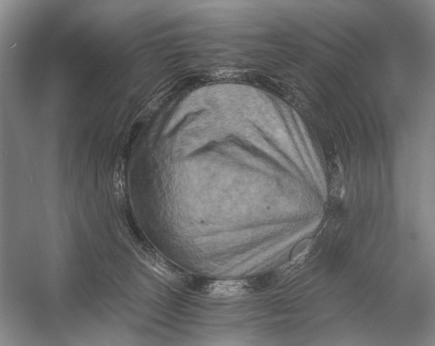 X0000056340179200509161745