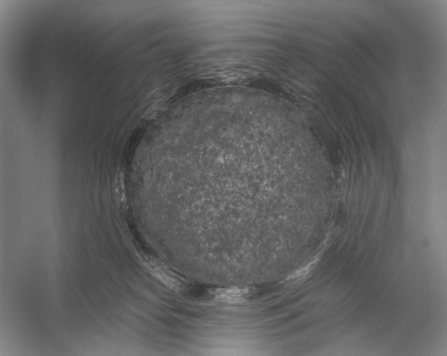 X0000056340182200509161745