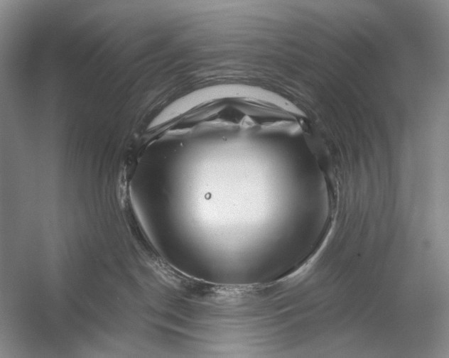 X0000056340190200509161745