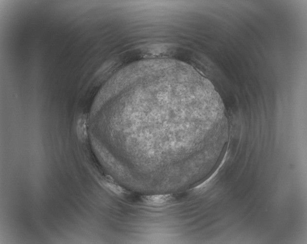 X0000056340191200509161745