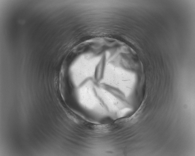 X0000056340192200509161745