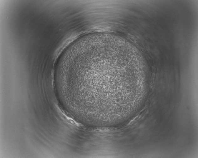 X0000056340194200509161744