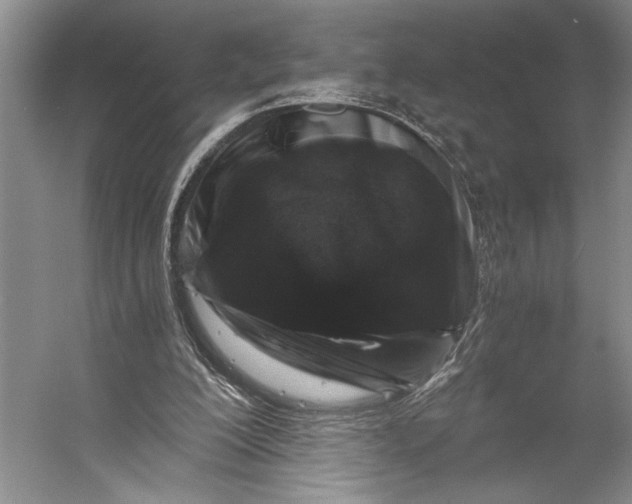 X0000056340200200509161744