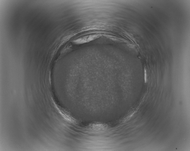 X0000056340205200509161744