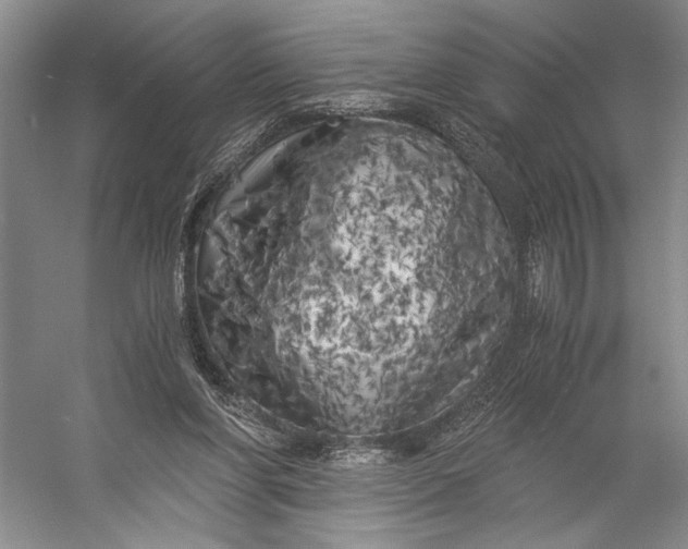 X0000056340206200509161744