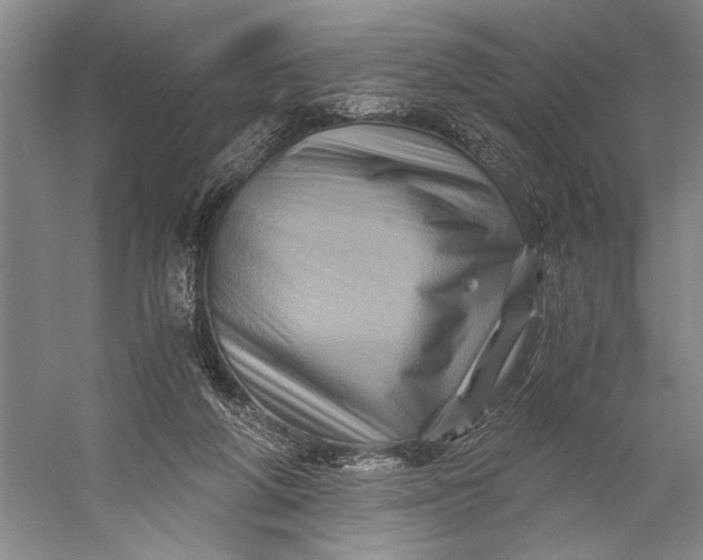 X0000056340210200509161744