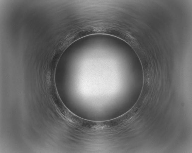 X0000056340213200509161744