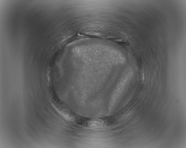 X0000056340215200509161744