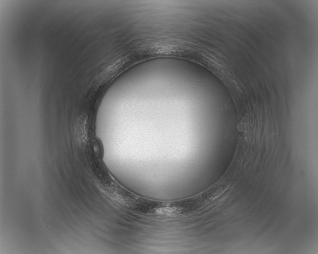 X0000056340216200509161744