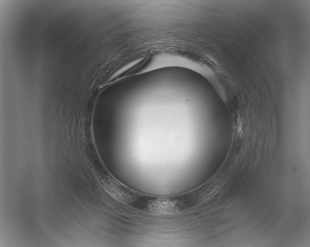X0000056340217200509161744