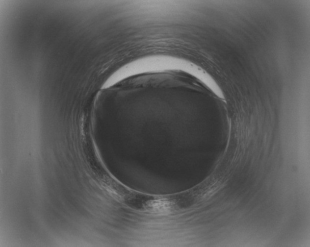 X0000056340219200509161744