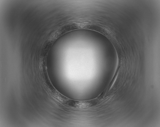 X0000056340221200509161744
