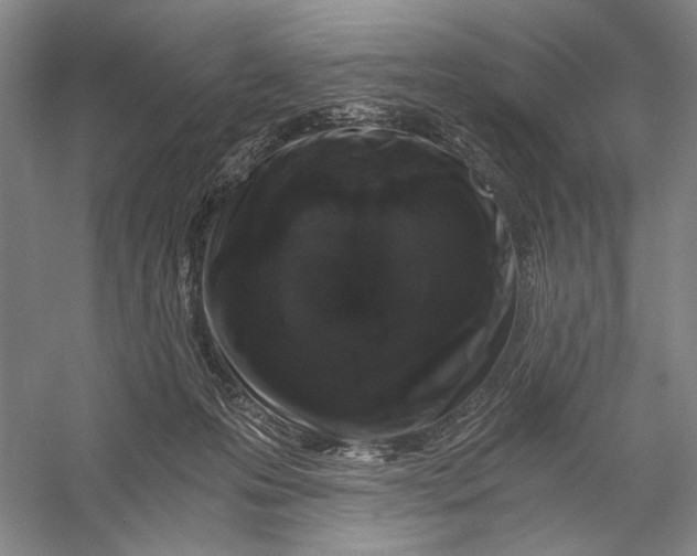 X0000056340223200509161744
