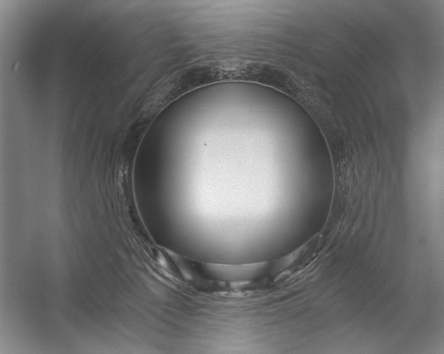 X0000056340225200509161744